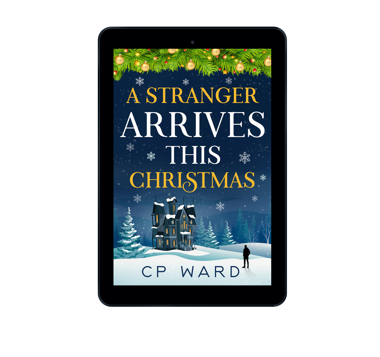 A Stranger Arrives This Christmas